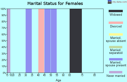 Zip code 19955 marital status for females