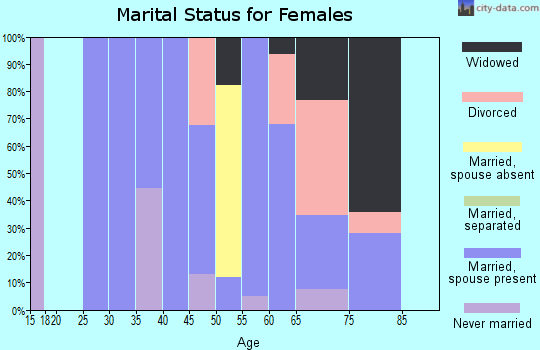 Zip code 19967 marital status for females