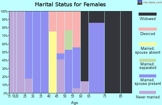 Zip code 19979 marital status for females
