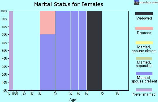 Zip code 19980 marital status for females