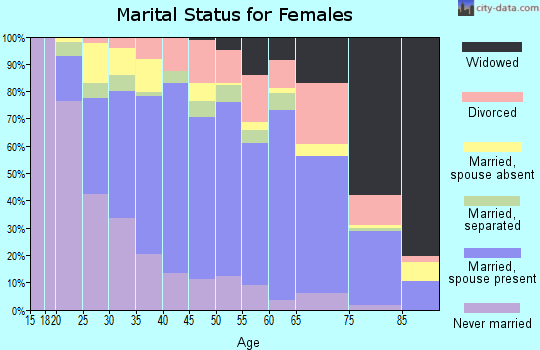 Zip code 20110 marital status for females