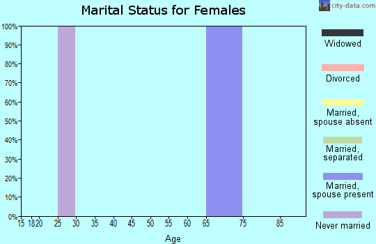 Zip code 20118 marital status for females