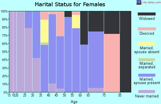 Zip code 20119 marital status for females