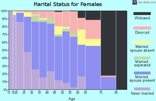 Zip code 20121 marital status for females
