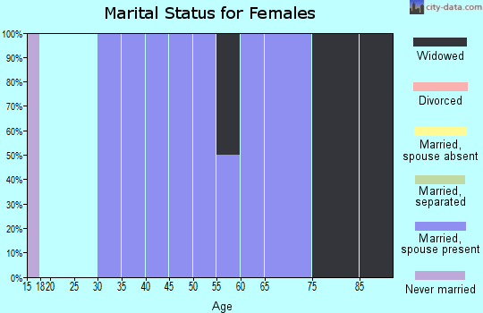Zip code 20129 marital status for females
