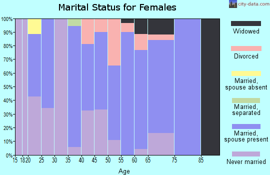 Zip code 20135 marital status for females