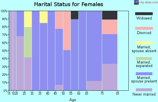 Zip code 20137 marital status for females