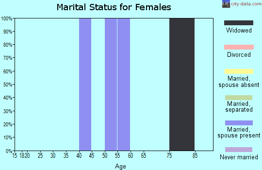 Zip code 20139 marital status for females