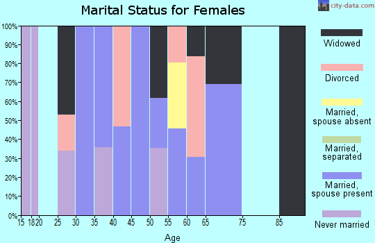 Zip code 20143 marital status for females