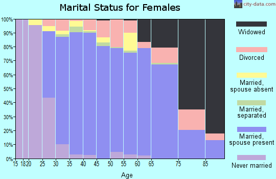 Zip code 20169 marital status for females