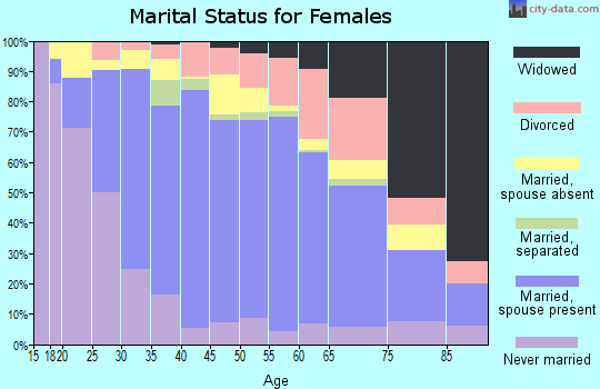 Zip code 20170 marital status for females