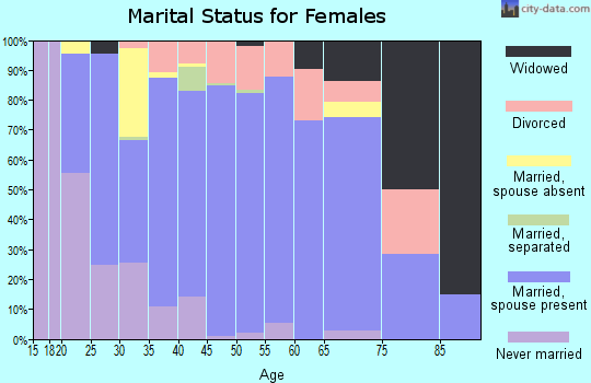 Zip code 20180 marital status for females