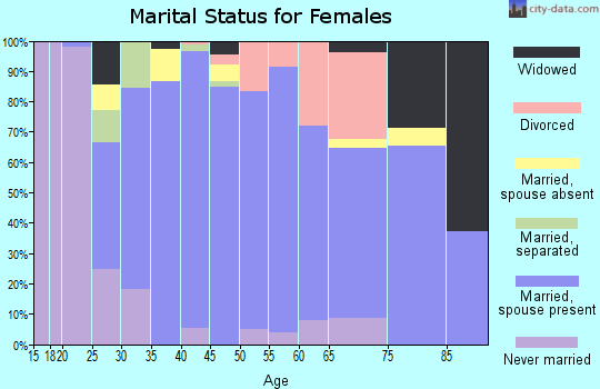 Zip code 20181 marital status for females