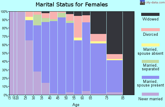 Zip code 20187 marital status for females