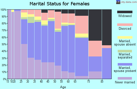 Zip code 20191 marital status for females