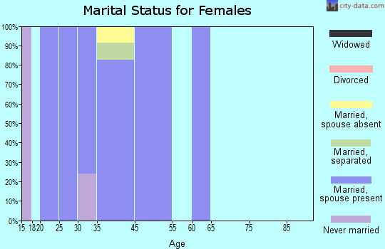 Zip code 20332 marital status for females