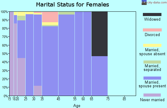 Zip code 20336 marital status for females