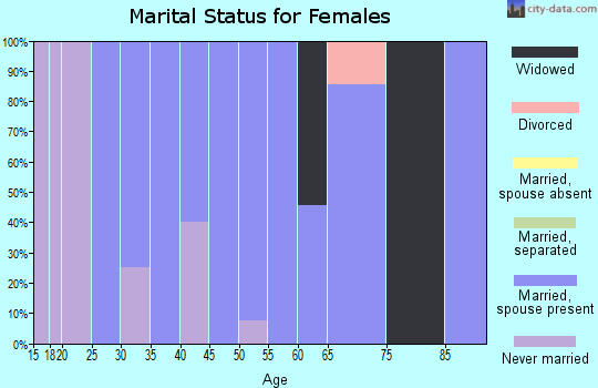 Zip code 20658 marital status for females