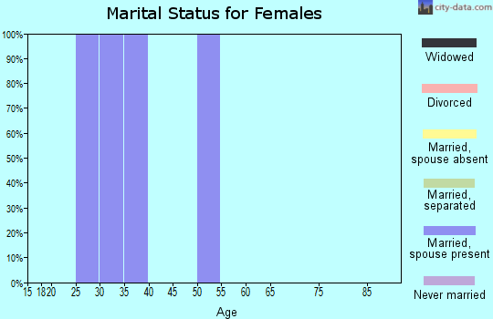 Zip code 21010 marital status for females