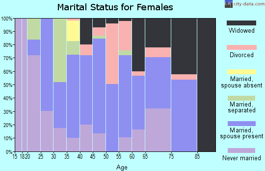 Zip code 21539 marital status for females