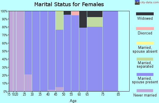 Zip code 21738 marital status for females