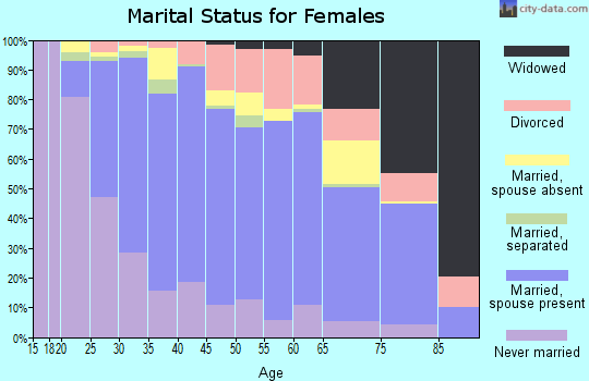 Zip code 22031 marital status for females