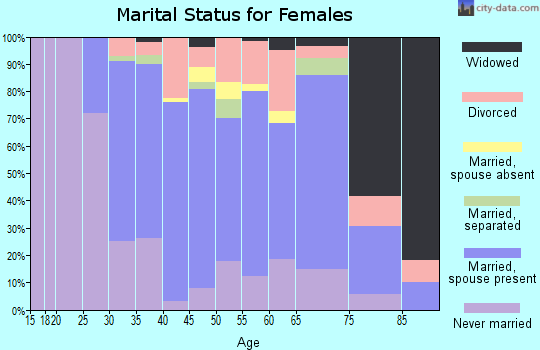 Zip code 22046 marital status for females