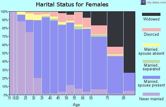 Zip code 22101 marital status for females