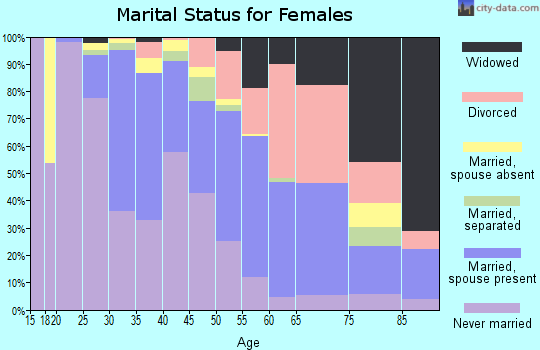 Zip code 22203 marital status for females