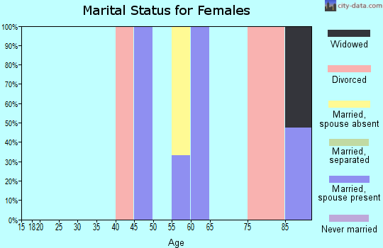 Zip code 22504 marital status for females
