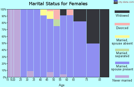 Zip code 22728 marital status for females