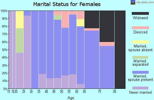 Zip code 22947 marital status for females