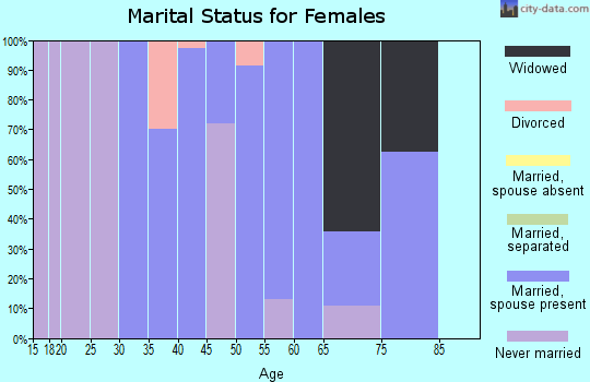 Zip code 23039 marital status for females