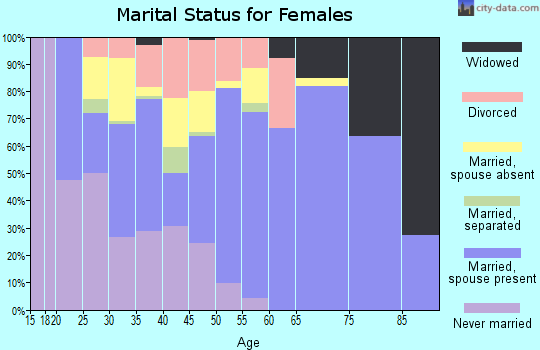 Zip code 23063 marital status for females