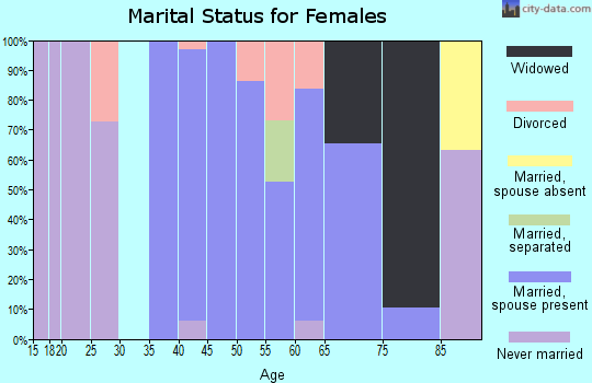 Zip code 23084 marital status for females
