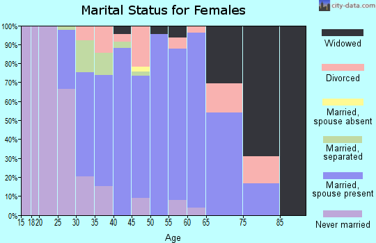 Zip code 23141 marital status for females