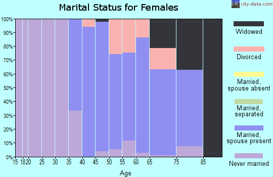 Zip code 23146 marital status for females