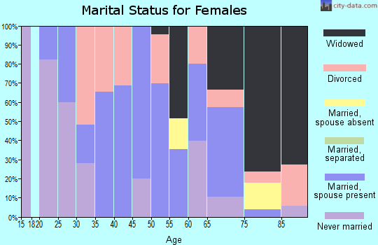 Zip code 23175 marital status for females
