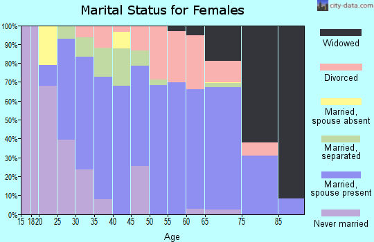Zip code 23181 marital status for females