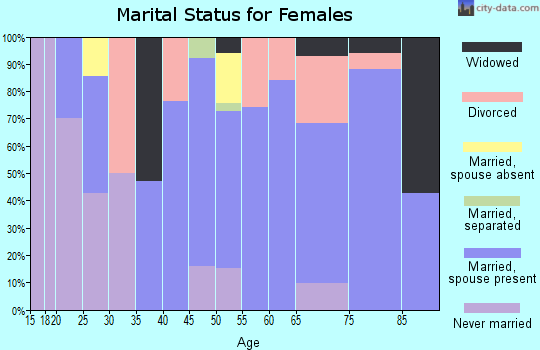 Zip code 23306 marital status for females