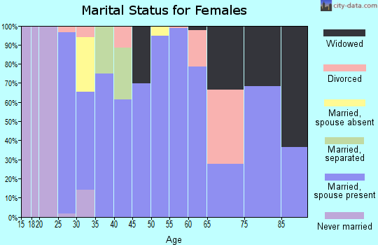Zip code 23308 marital status for females