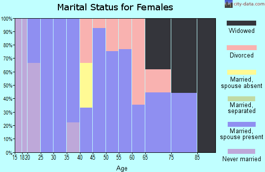 Zip code 23315 marital status for females