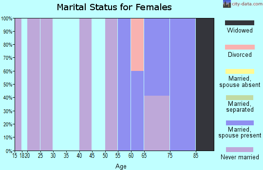 Zip code 23316 marital status for females