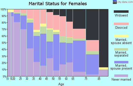 Zip code 23324 marital status for females