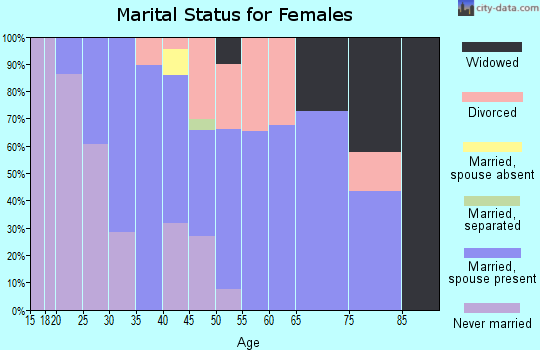 Zip code 23336 marital status for females