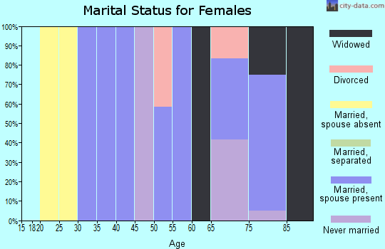 Zip code 23347 marital status for females
