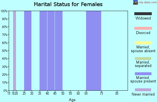 Zip code 23354 marital status for females