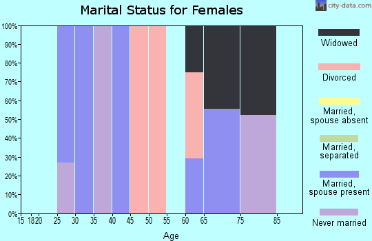 Zip code 23357 marital status for females