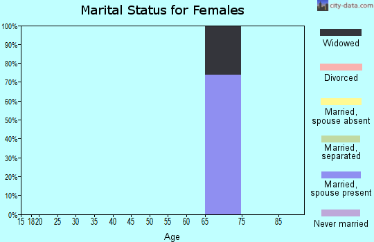 Zip code 23395 marital status for females
