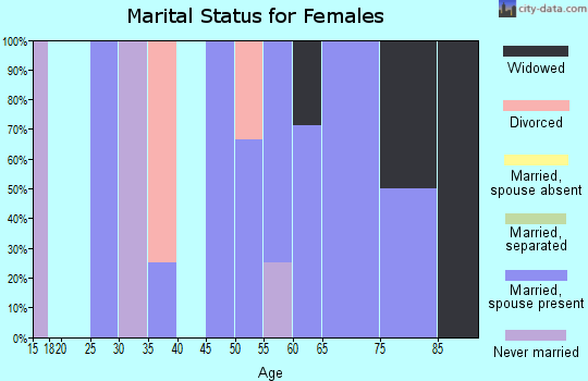 Zip code 23401 marital status for females